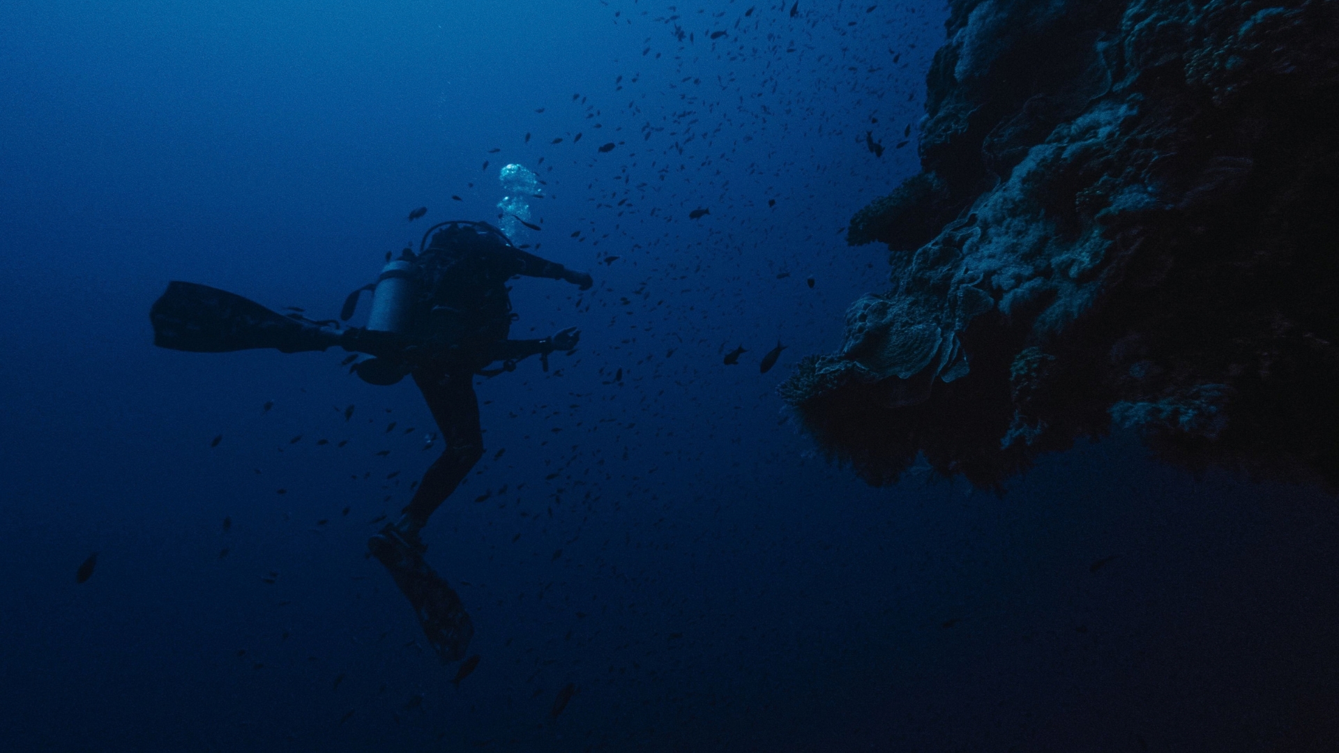 Buceador explorando un cañón submarino